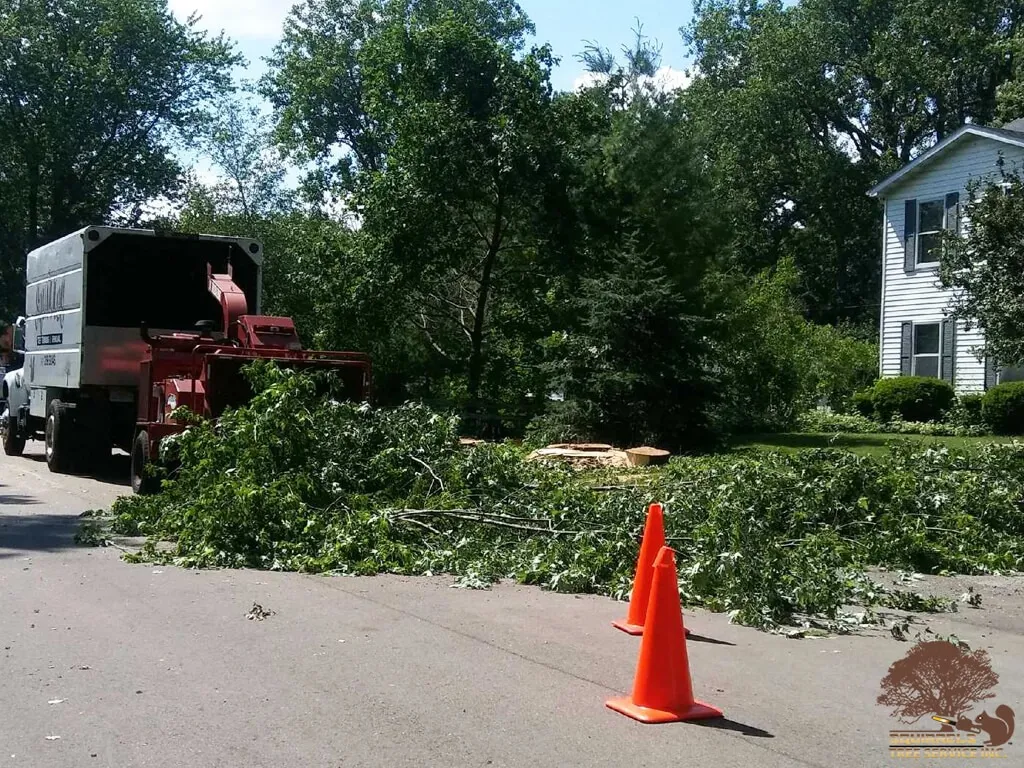 Large brush pile being chipped on a residential street in Lake County