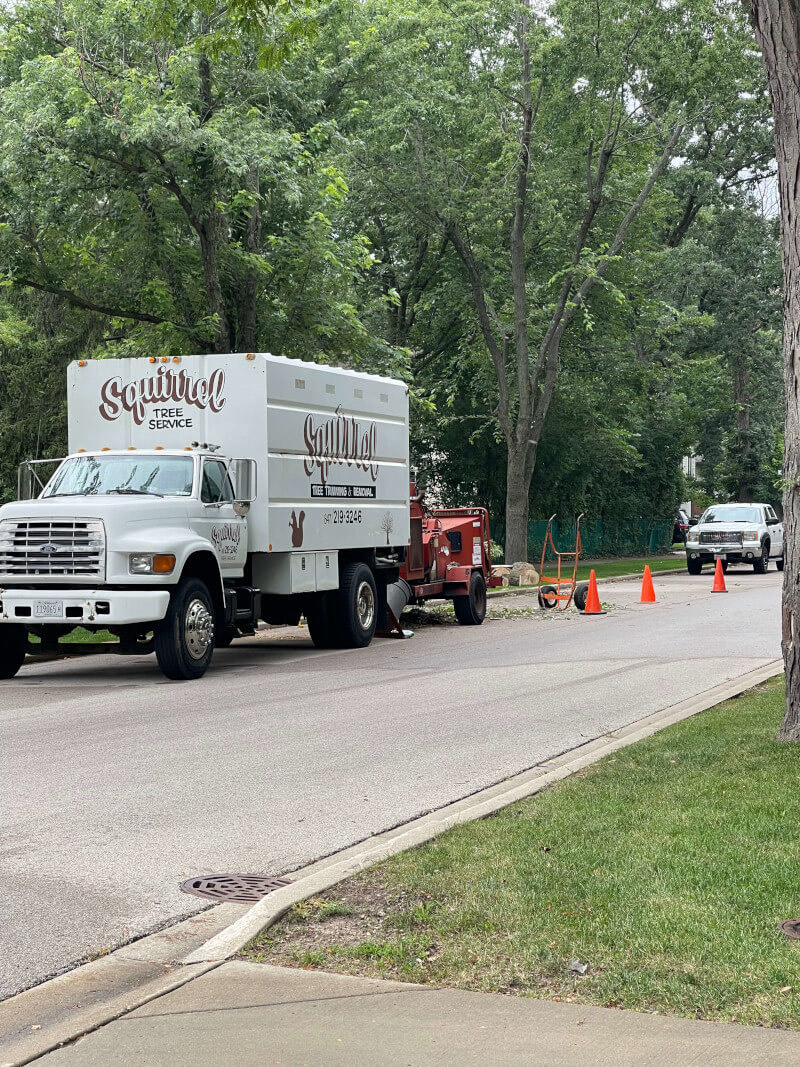 Squirrels Tree Service chipper truck parked on a residential street