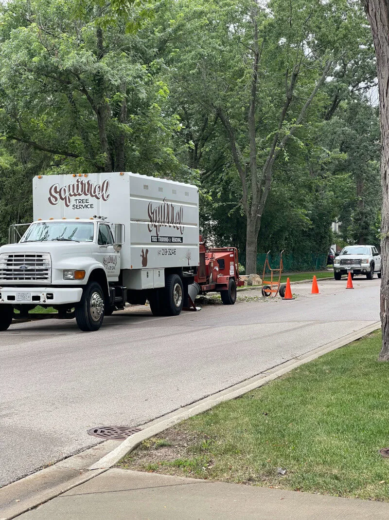 Squirrels Tree Service chipper truck parked on a residential street in Zion, IL