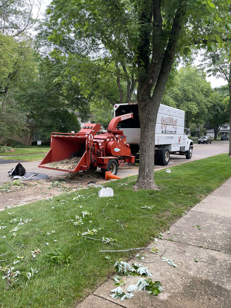 Wood chipper processing branches on a residential job site in Zion, IL