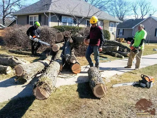 Squirrels Tree Service crew cutting a fallen tree into logs on a residential property in Zion, IL
