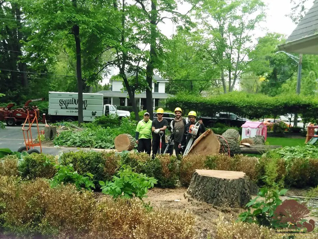 Squirrels Tree Service crew and equipment during a large land clearing project