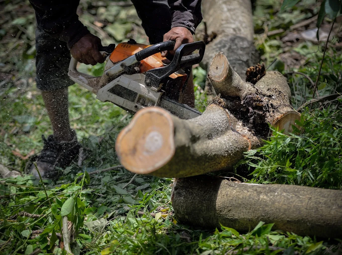 Firewood rounds and delivery materials prepared for a Lake County customer