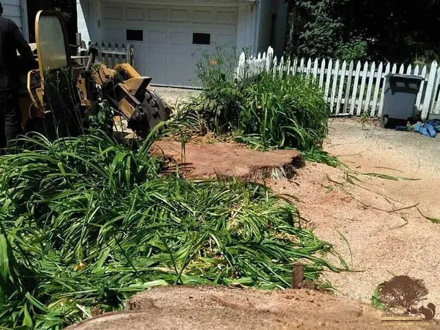 Stump grinder actively grinding a stump near a driveway in Lake County