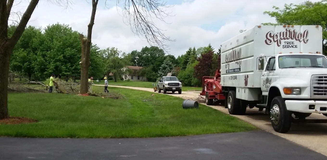 Squirrels Tree Service crew and trucks on a job site in Lake County, IL