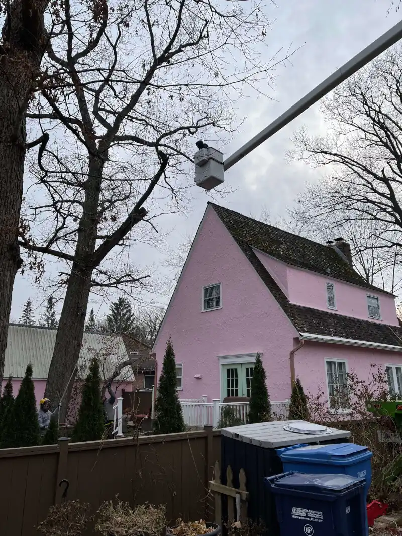 Bucket truck trimming a tree near a residential roofline in Zion, IL