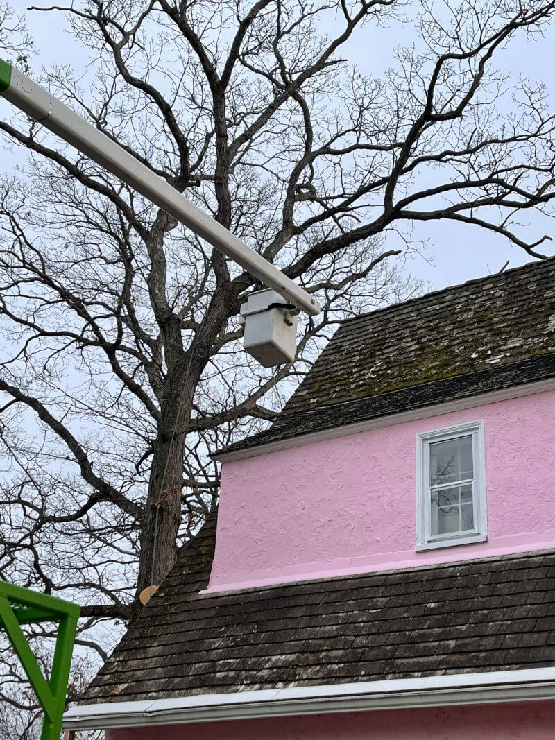 Bucket truck crew trimming branches near a rooftop in Zion, IL